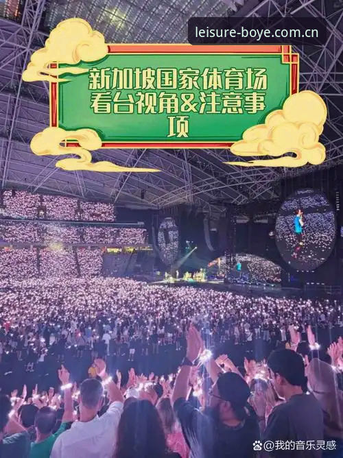 资深体育迷分享：博业体育平台观赛视角下的世界杯签证风波与赛场空座之谜